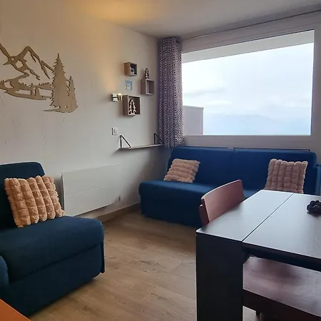 Appartement Confortable - Acces Pistes, Animaux Admis - Fr-1-181-2712 La Plagne