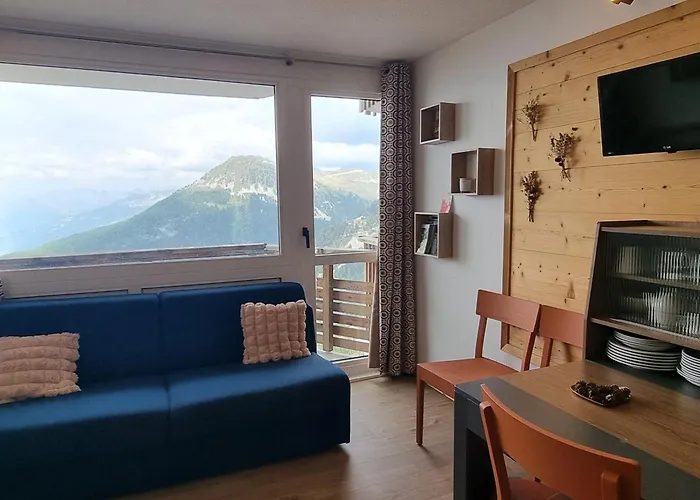 Confortable - Acces Pistes, Animaux Admis - Fr-1-181-2712 La Plagne